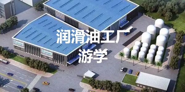 反思：润滑油品牌峰会面临的挑战与应对